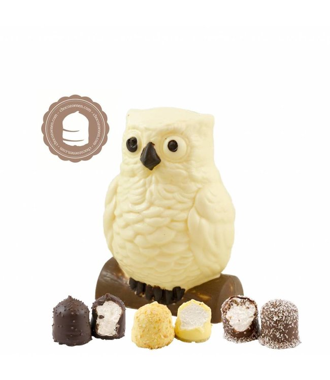 Chocolade Uil met  2 Chocozoenen