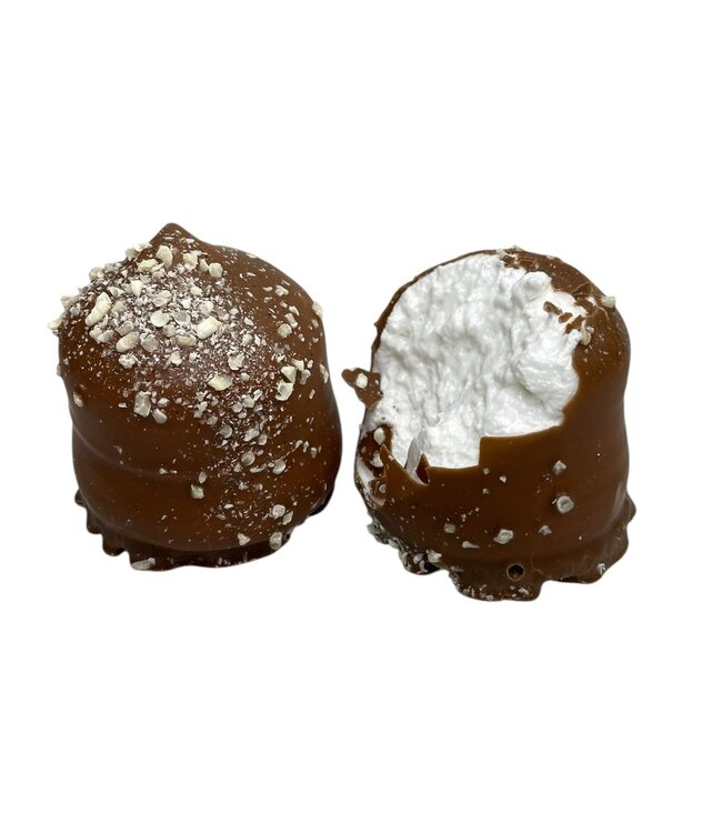 Chocozoen Appel-Kaneel