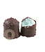 Chocozoenen Bosbes