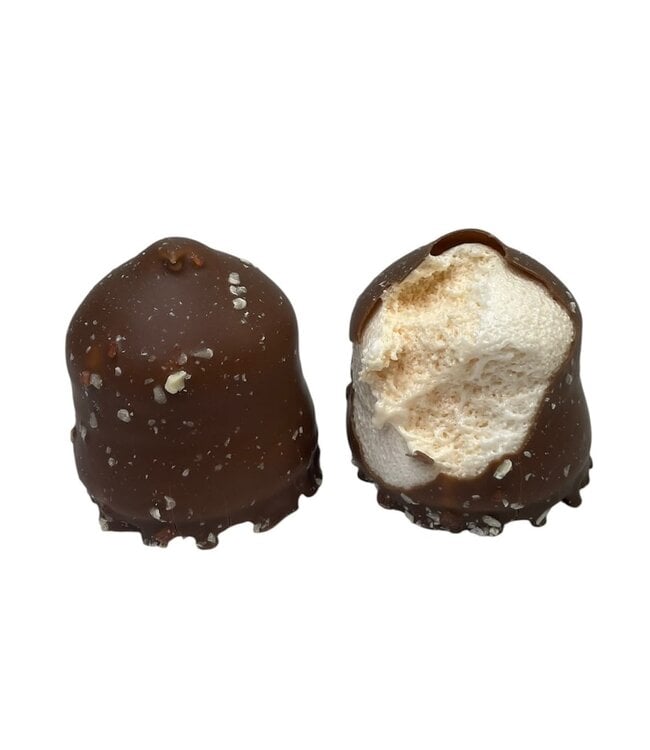 Chocozoenen Abrikoos melk
