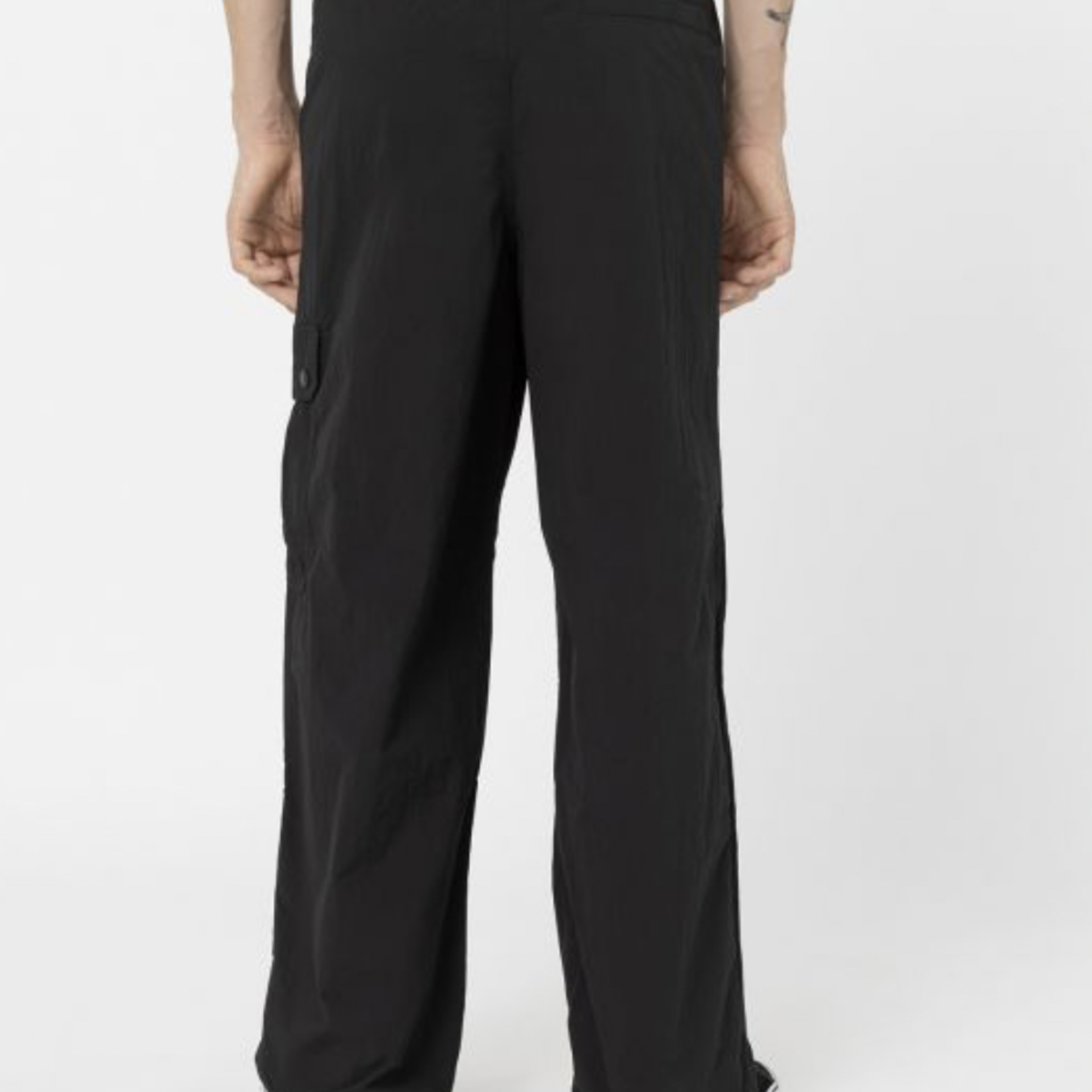 DICKIES DICKIES JACKSON CARGO PANT