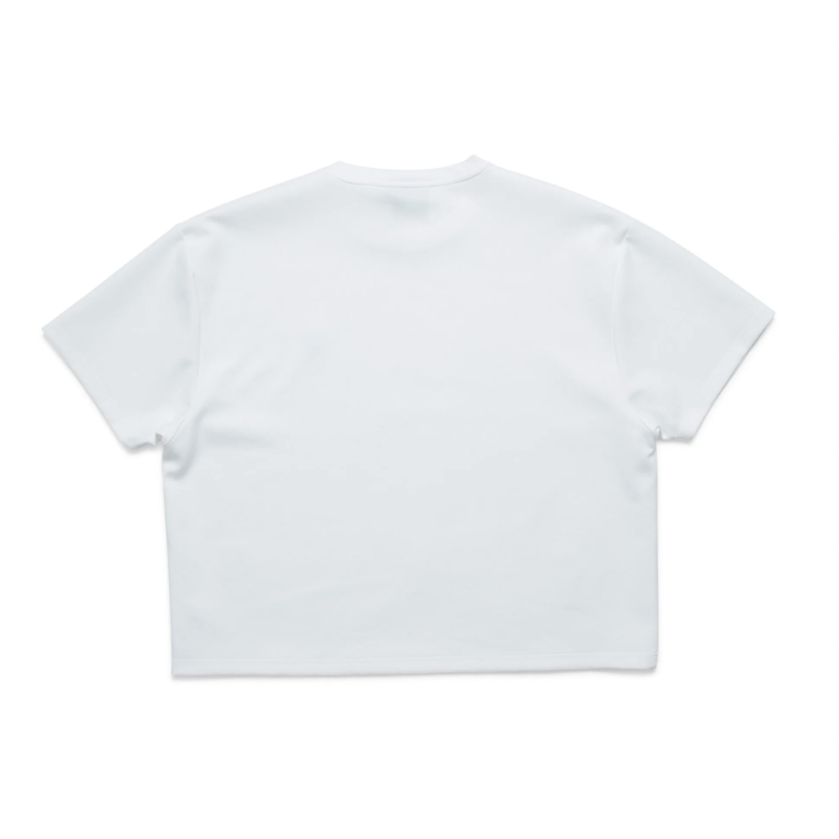 NEW AMSTERDAM SURF ASSOCIATION NASA TEE CROPPED