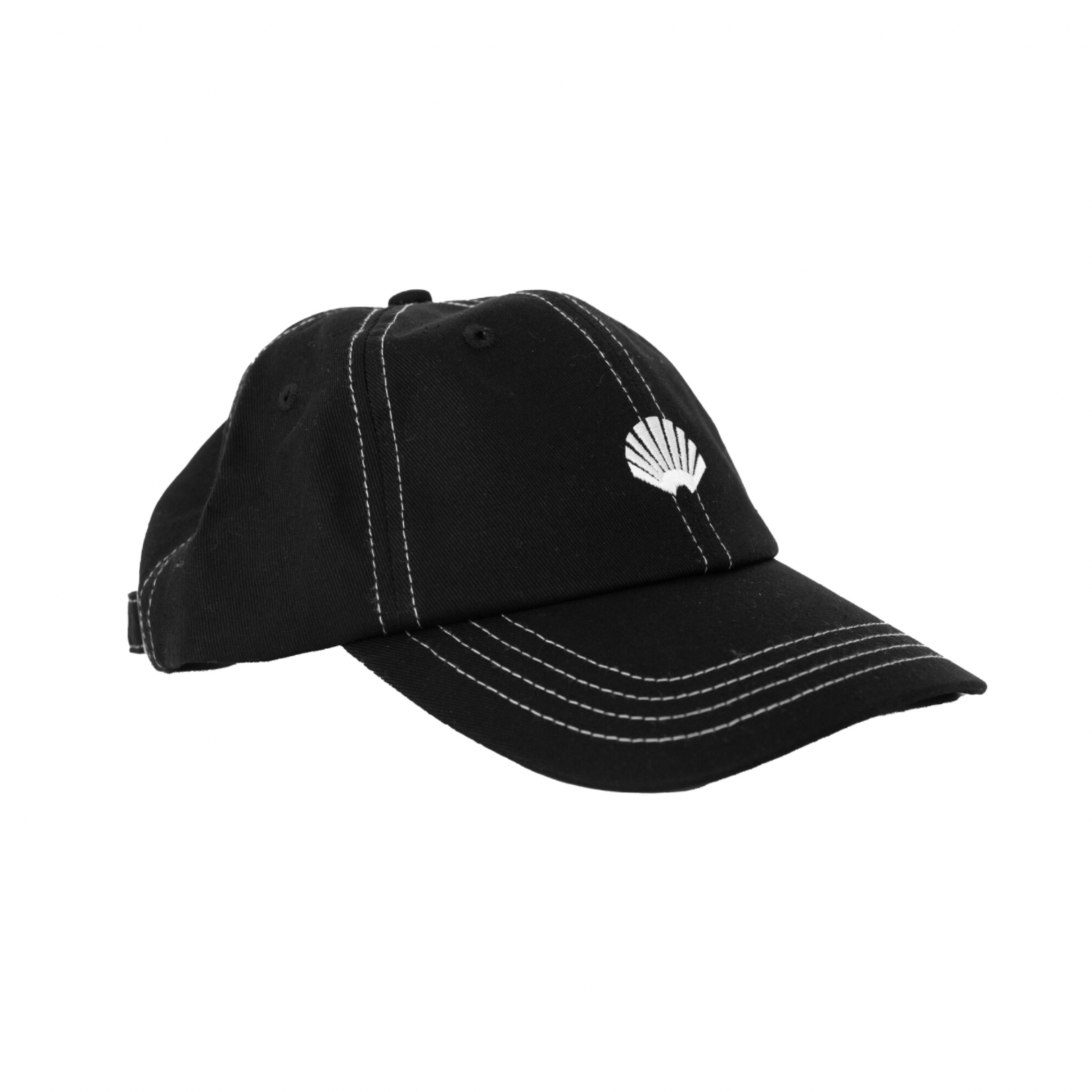 NEW AMSTERDAM SURF ASSOCIATION NASA LOGO CAP