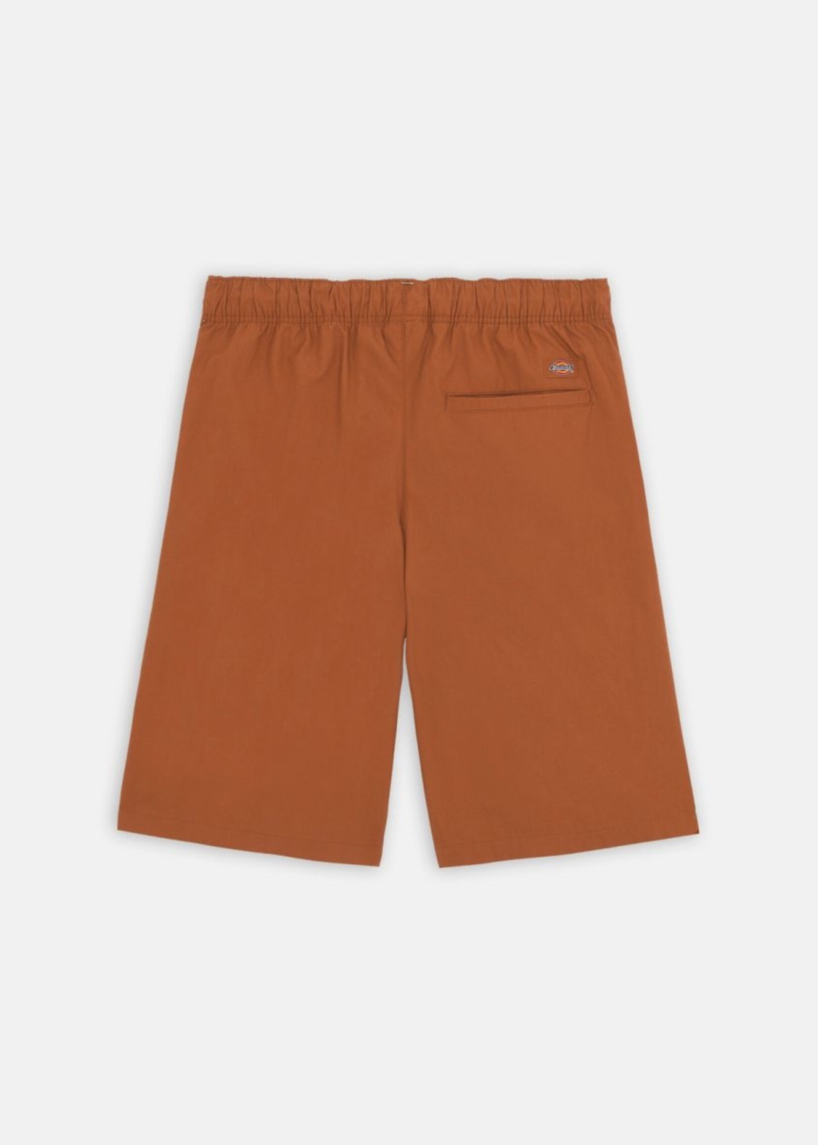 DICKIES DICKIES FISHERVILLE SHORT
