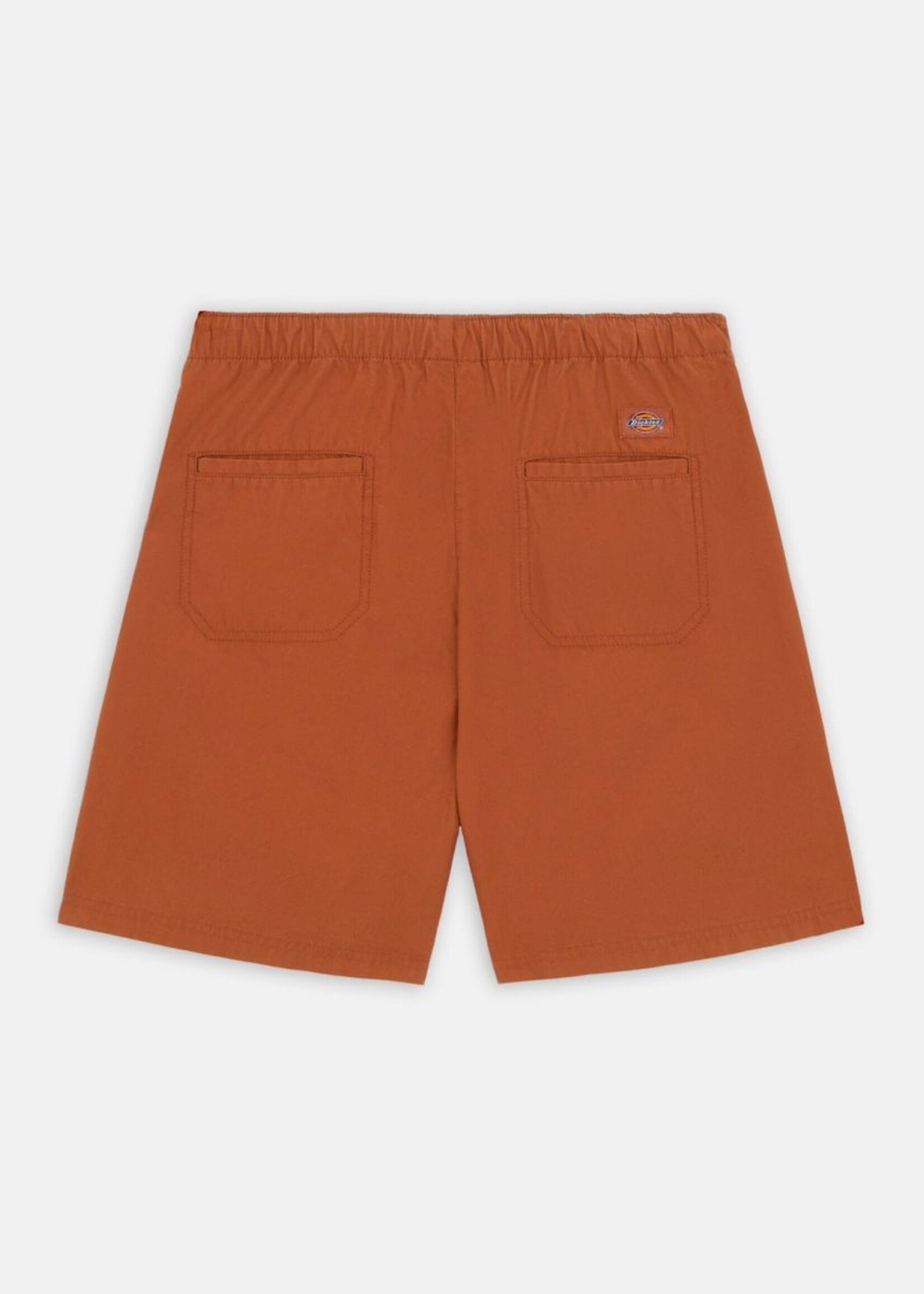 DICKIES W DICKIES FISHERVILLE SHORT