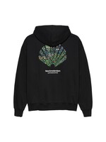 NEW AMSTERDAM SURF ASSOCIATION NEW AMSTERDAM  TALL GRASS HOODIE