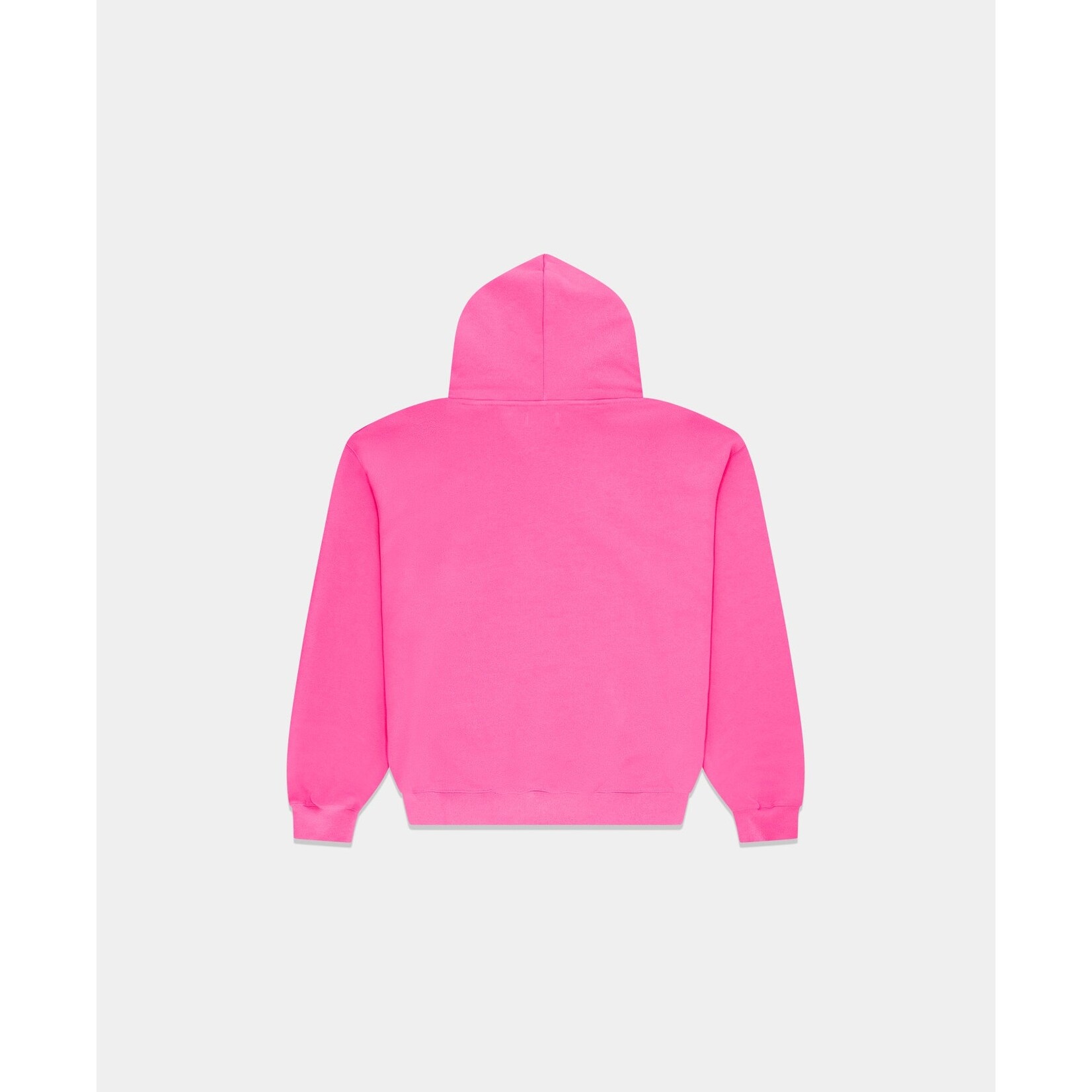 ARBOR ANTWERP ARBOR DISTRESSED HOODIE