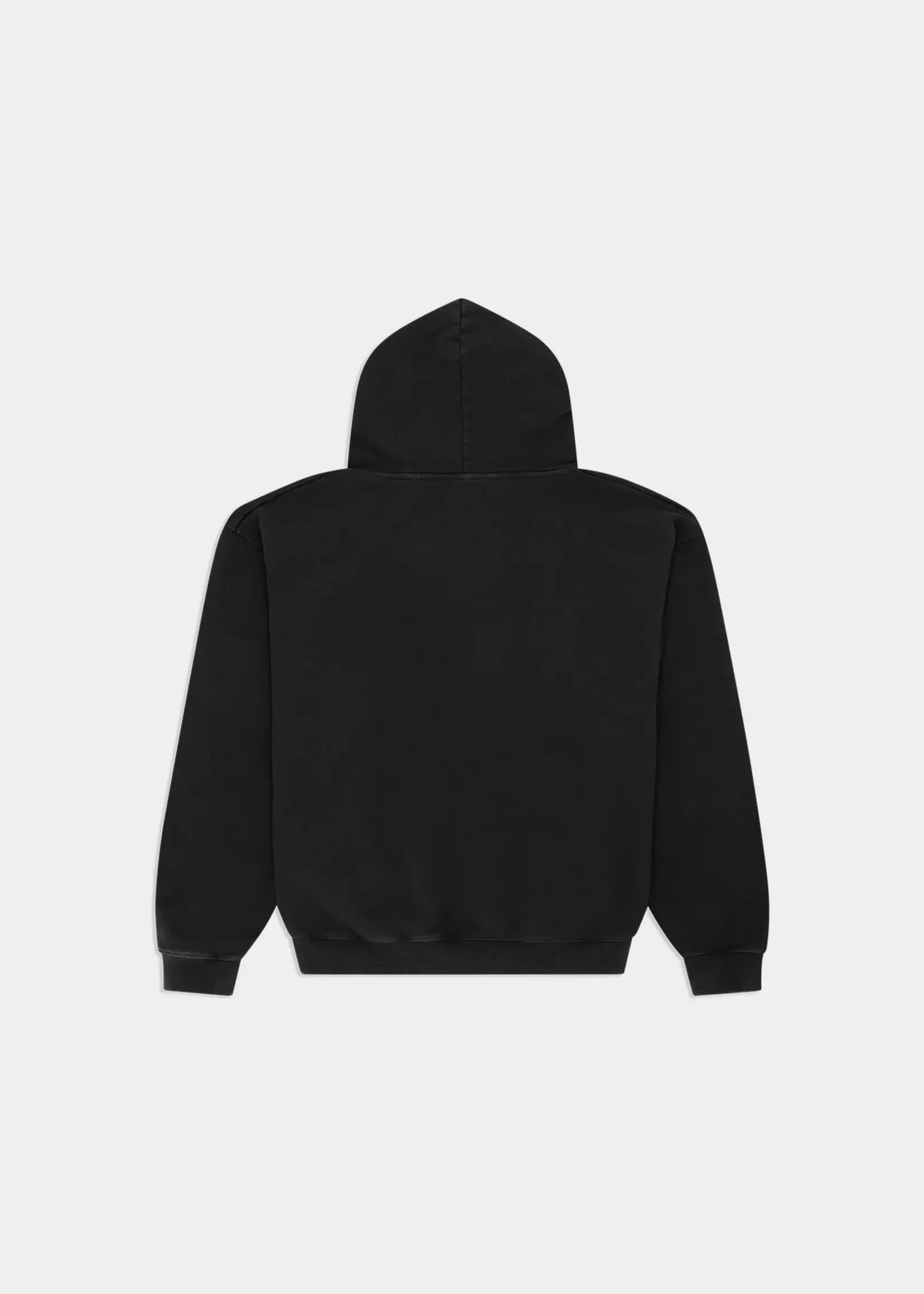 ARBOR ANTWERP ARBOR HOODIE OVERLAY
