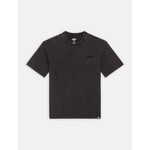DICKIES DICKIES PLENTYWOOD SS TEE