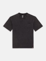 DICKIES DICKIES PLENTYWOOD SS TEE