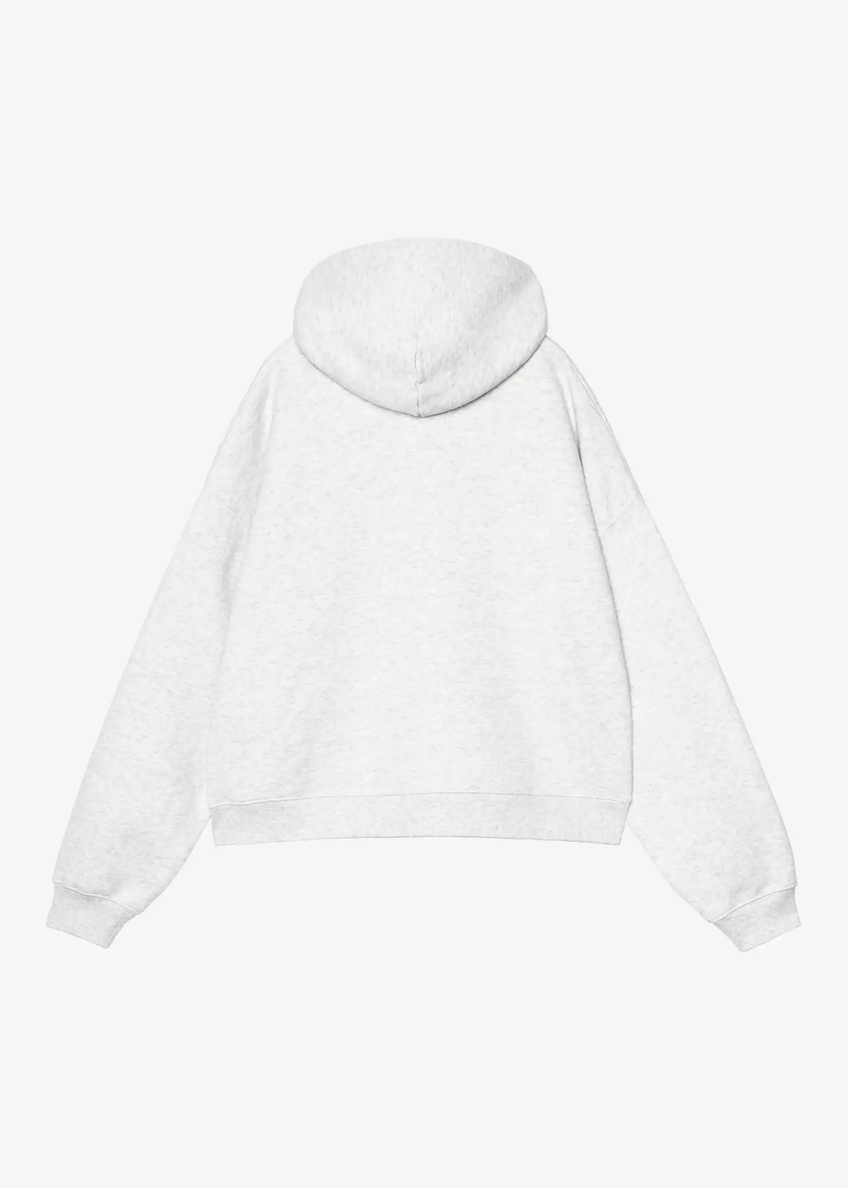 CARHARTT WIP W CARHARTT HOODED SOLAR CHROME SWEAT