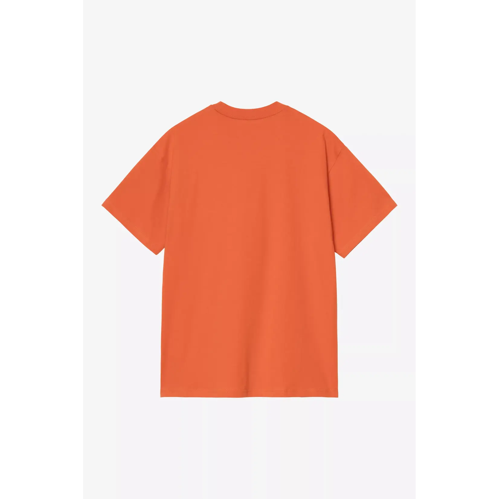 CARHARTT WIP CARHARTT S/S THEORY AND PRACTICE T-SHIRT