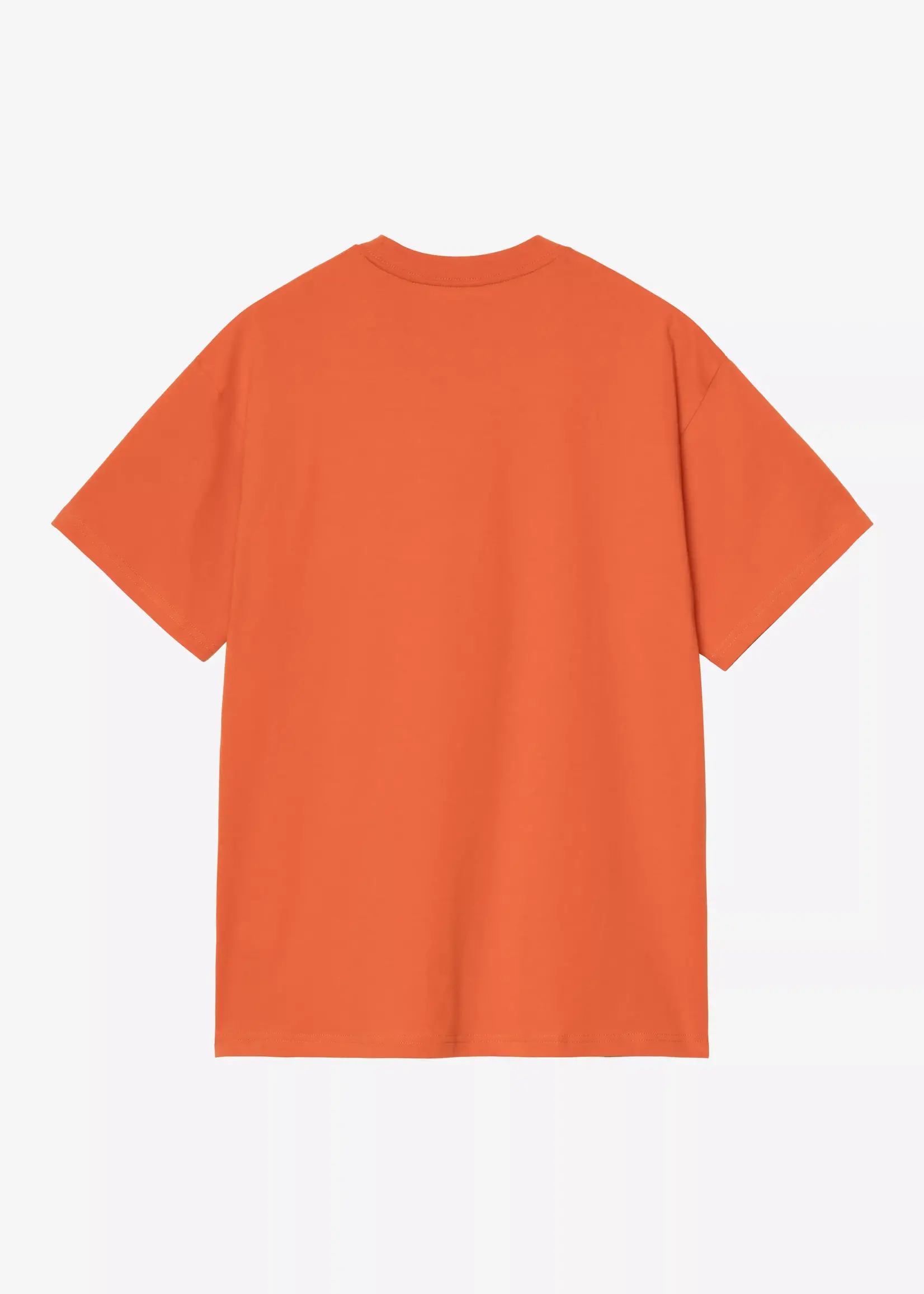 CARHARTT WIP CARHARTT S/S THEORY AND PRACTICE T-SHIRT