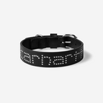 CARHARTT WIP CARHARTT WIP SCRIPT STUDS DOG COLLAR