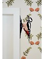 Wall sticker Woodpecker Set of 2