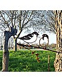 Bird Silhouette Sparrow Couple