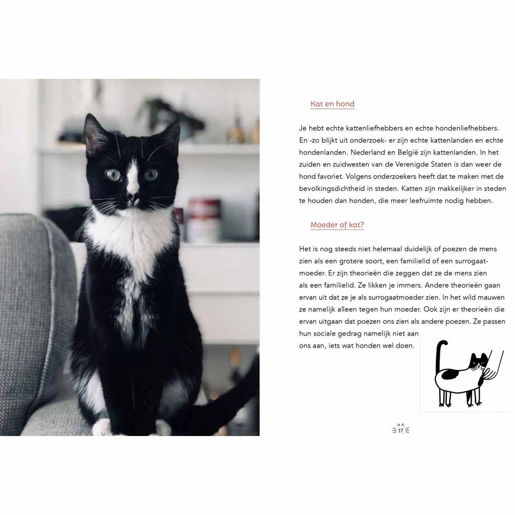 Cat manual for Bosses Dutch