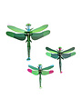 Dragonflies set / 3