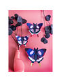 Dovetail butterflies set / 3