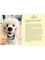 Dog Owner's Manual For Bosses (NL)