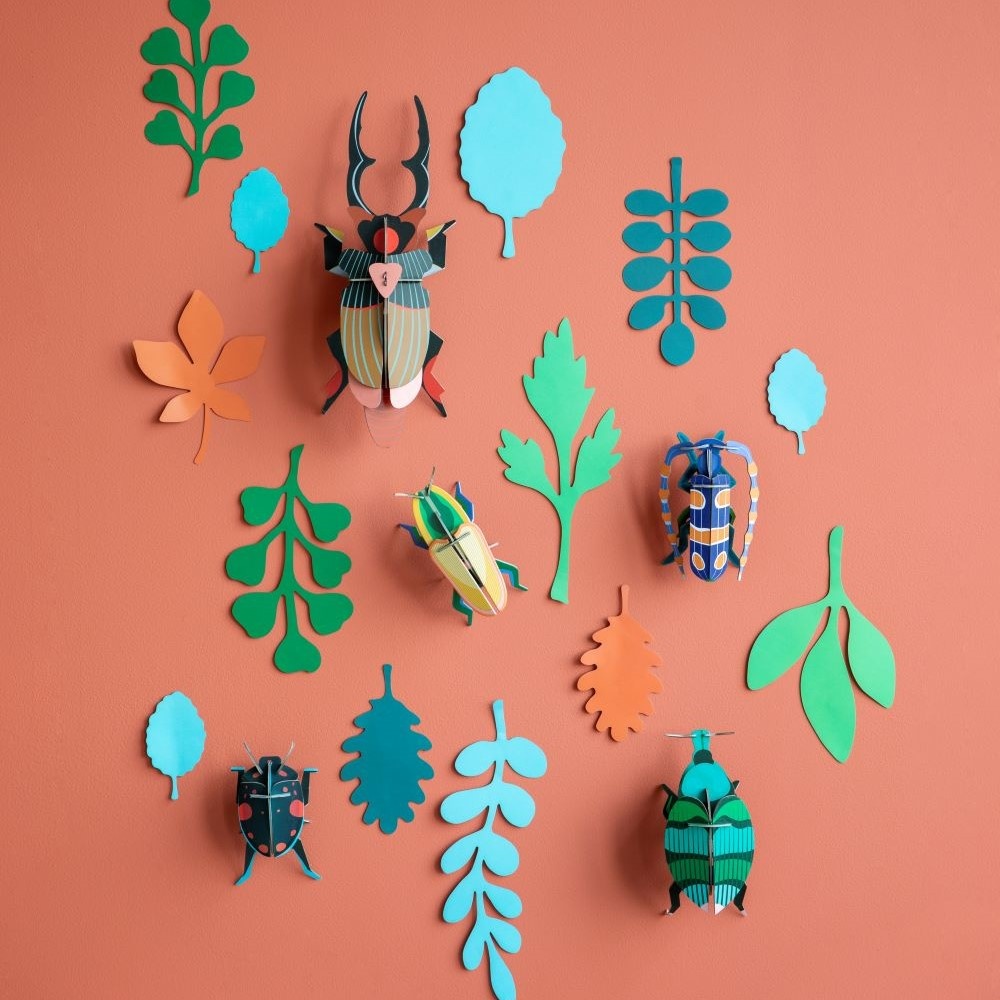 Wall of Curiosities, Beetle Antiquairy