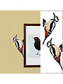 Wall sticker Woodpecker Set of 2