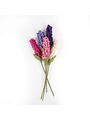 Hyacinth Lilac