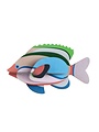 Fairy Wrasse Fish