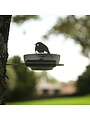 Feeding Bowl Robin