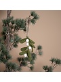 Vilthanger Mistletoe Small