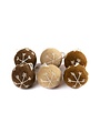 3D Christmas bauble Gingerbread Small 3 pcs.