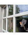 Robin Double-sided Window Sticker