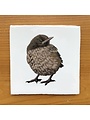 Vintage Tile Blackbird young