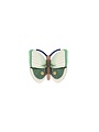 Fern Striped Butterflies, set/3