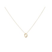 MIAB Jewels MIAB Ketting | Goud | Rocky Ring | Gold Filled