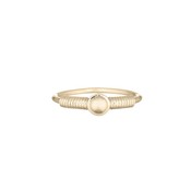 MIAB Jewels MIAB Ring | Goud | Around