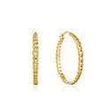 ANIA HAIE ANIA HAIE Earrings | CURB CHAIN | VERGULD