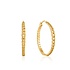 ANIA HAIE ANIA HAIE Earrings | CURB CHAIN | VERGULD | E021-06G