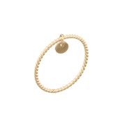MIAB Jewels MIAB Ring | Goldfilled | Charm