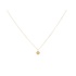 MIAB Jewels MIAB Ketting | Goldfilled | Scratched Tiny Round