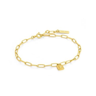 ANIA HAIE ANIA HAIE Bracelet | UNDER LOCK AND KEY | VERGULD | B032-01G