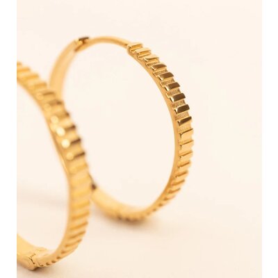 MIAB Jewels MIAB Oorbellen | Large Lined Click | Goldfilled