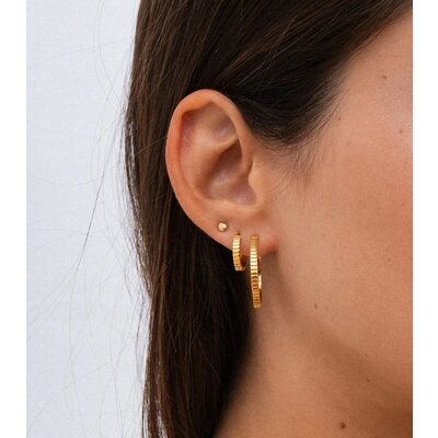 MIAB Jewels MIAB Oorbellen | Lined Click | Goldfilled