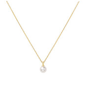 ANIA HAIE ANIA HAIE Necklace | Pearl Drop Pendant  | VERGULD | N065-01G