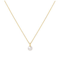 ANIA HAIE ANIA HAIE Necklace | Pearl Drop Pendant  | VERGULD