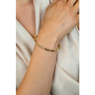 ZINZI ZINZI Armband | BANGLE GEDRAAID | ZIA2756G