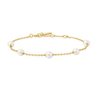 ANIA HAIE ANIA HAIE Armband | Gold Pearl Station | VERGULD