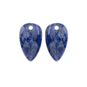 SPARKLING SPARKLING Oorbellen | Edelstenen | Sodalite Blossom