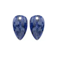 SPARKLING SPARKLING Oorbellen | Edelstenen | Sodalite Blossom