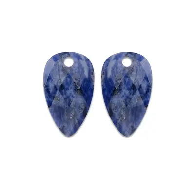 SPARKLING SPARKLING Oorbellen | Edelstenen | Sodalite Blossom